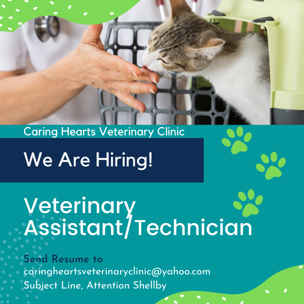 We are hiring! | Veterinarians in Wichita, KS | Caring Hearts