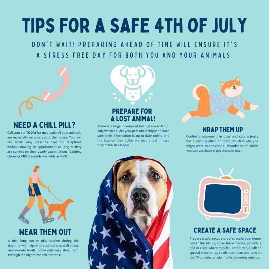 Tips for a Safe 4th of July  Veterinarians in Wichita, KS